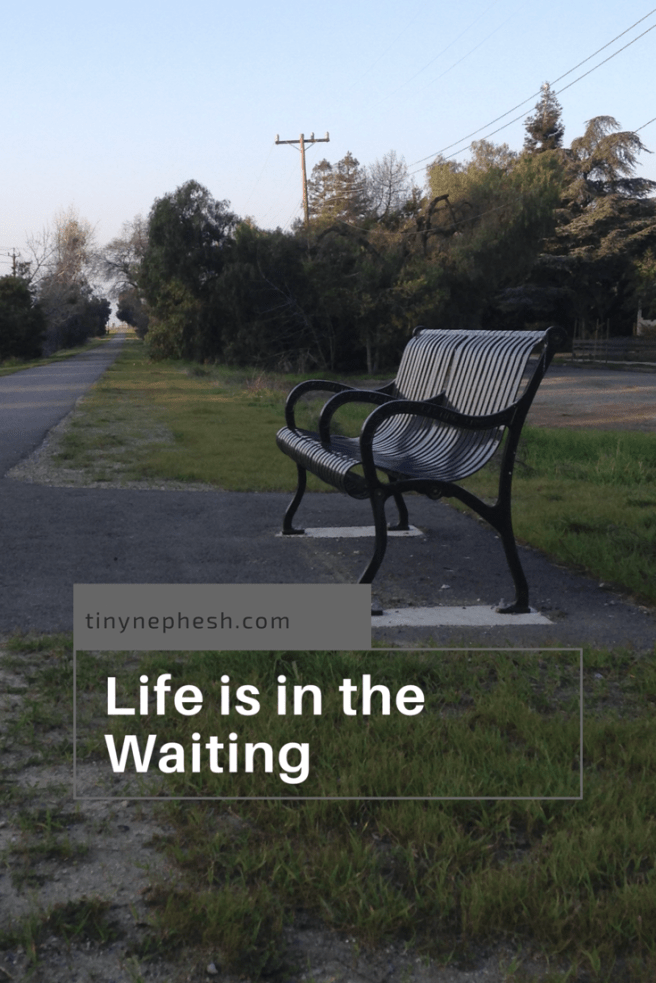 B4133B8A-7D8A-485F-AE32-3862A37CBC93